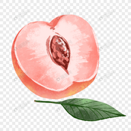 黄色成人appAPP应用
